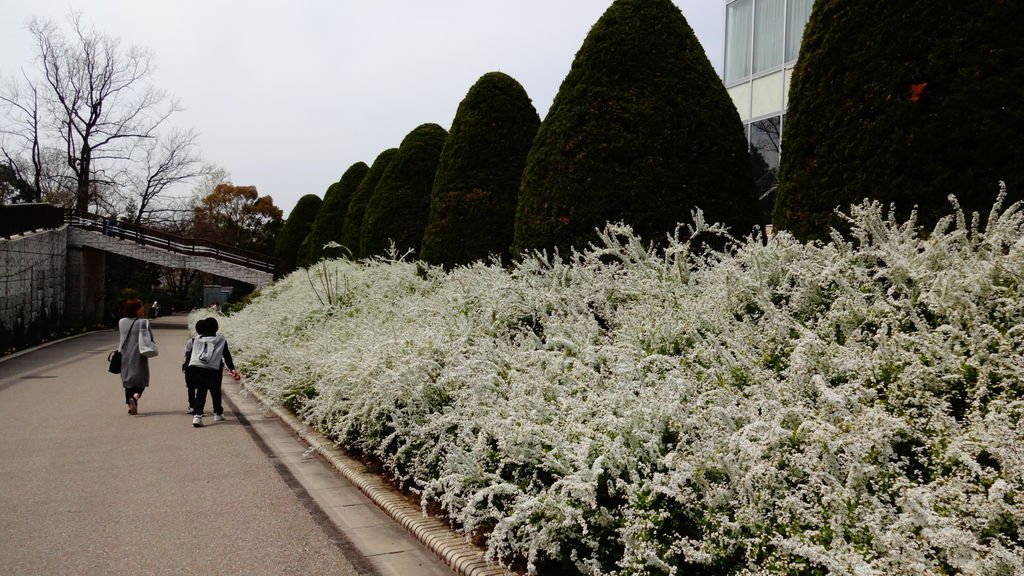 東山植物園