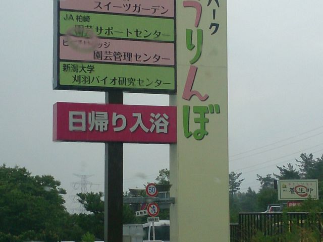 りそなさんのぴあパークとうりんぼの投稿写真1