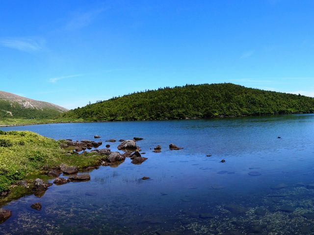 鎌沼_鎌沼一周自然探勝路