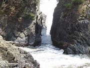 マックさんの神割崎の投稿写真6