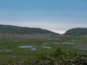 hp100さんの雨竜沼湿原の投稿写真2