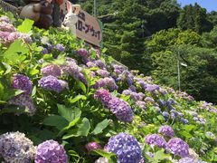 富士山パノラマロープウェイの写真1