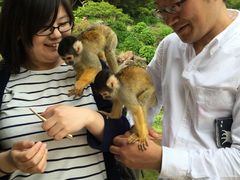 伊豆シャボテン動物公園の写真1