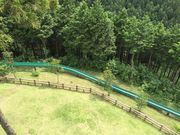 はちさんの仙元山見晴らしの丘公園の投稿写真1