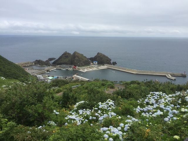 絶景_龍飛崎