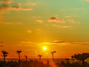 キュリさんの礼文島の投稿写真6