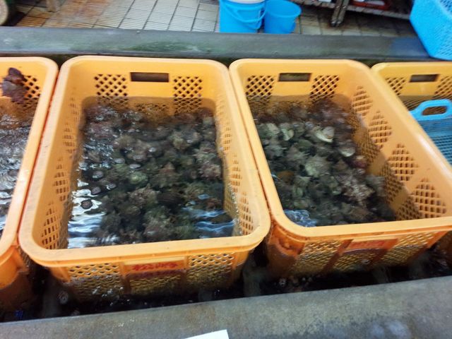 なごみさんの伊豆漁業松崎直売所の投稿写真2