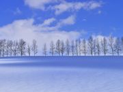 しょうなんしろうさんのパッチワークの路の投稿写真1