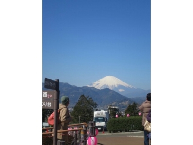 天気がいいと富士山もみえますよ!_松田山ハーブガーデン