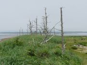 NEKOさんの野付半島の投稿写真1