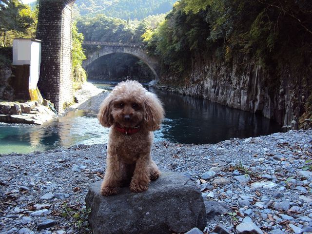 しっかり記念撮影_出会橋・轟橋
