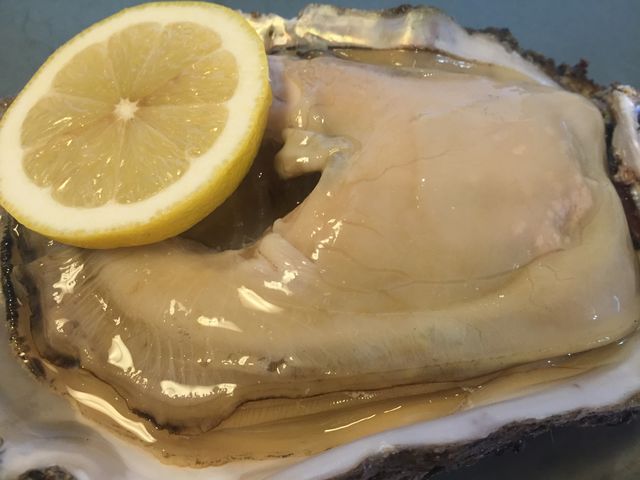 1番大きな牡蠣!美味!_灯台茶屋