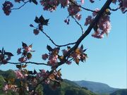 だちゃさんの薗原湖の投稿写真1