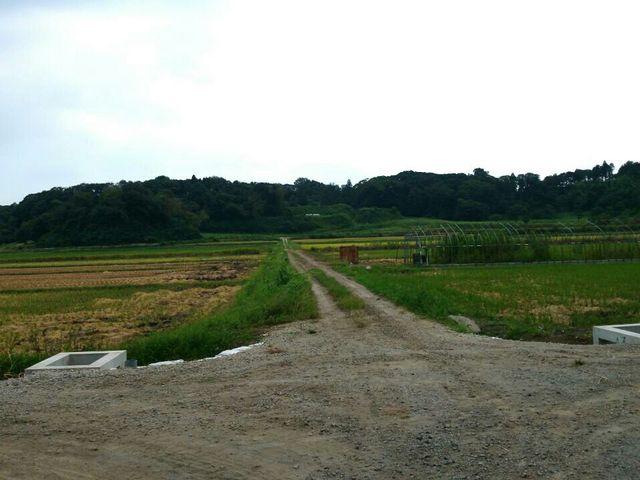 本佐倉城跡