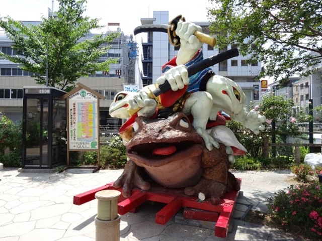 色々な蛙がいます_なわて通り
