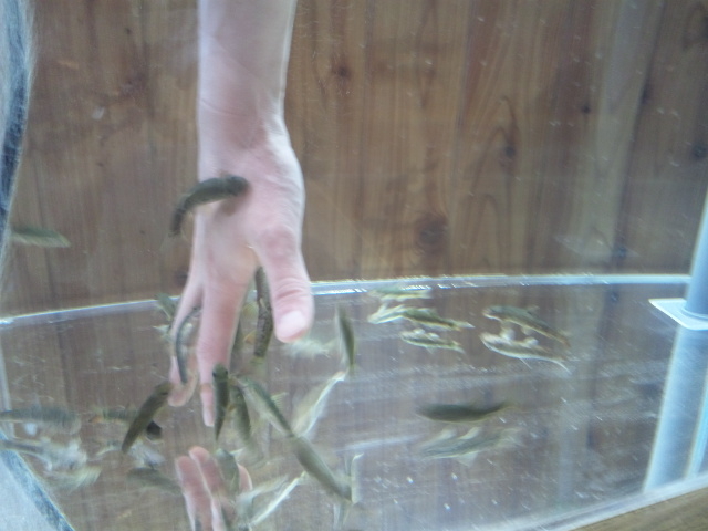 キモいい〜(≧◇≦)_北の大地の水族館