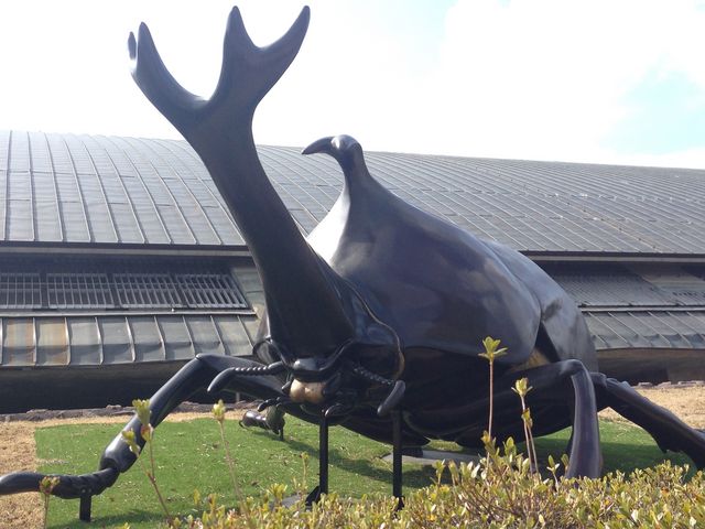 博物館外のリアルカブトムシの模型_群馬県立自然史博物館