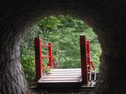 あかねさんの小中大滝の投稿写真1