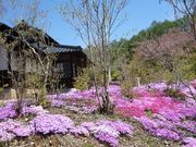 鶴亀松竹梅扇さんの古城緑地広場の投稿写真1