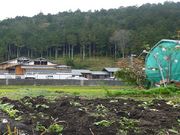 鶴亀松竹梅扇さんの付知峡倉屋温泉 おんぽいの湯の投稿写真1