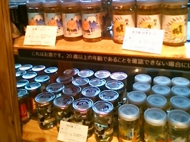 『日本全国の日本酒のワンカップ』。_東急プラザ銀座