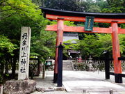 しどーさんの丹生川上神社の投稿写真1