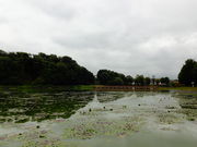 しどーさんの深田池の投稿写真1