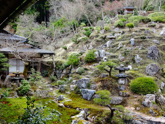 常照皇寺_常照皇寺
