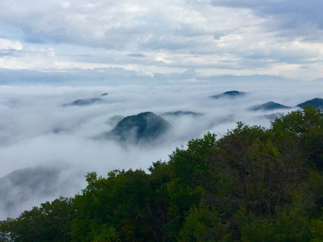 温泉街から車で10分ほどの大山展望台。素晴らしい雲海を気軽に見ることができました。_湯郷温泉