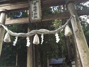 サクラママさんの早池峰神社の投稿写真1