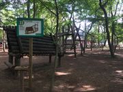 xelderさんの清水公園フィールドアスレチックの投稿写真3