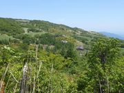 ひさしさんの夏虫山高原の投稿写真5