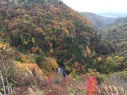 ノンノンさんの横谷峡の紅葉の投稿写真1