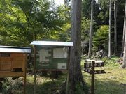 キヨさんの国束山の投稿写真1