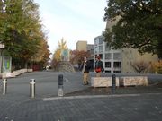 キヨさんの文化パルク城陽の投稿写真1