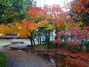 ジンさんの本郷給水所公苑の投稿写真1
