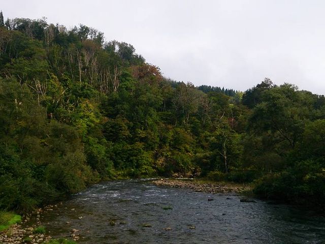 銅山川_銅山川