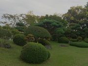 cagyさんの本間美術館庭園(鶴舞園)の投稿写真11
