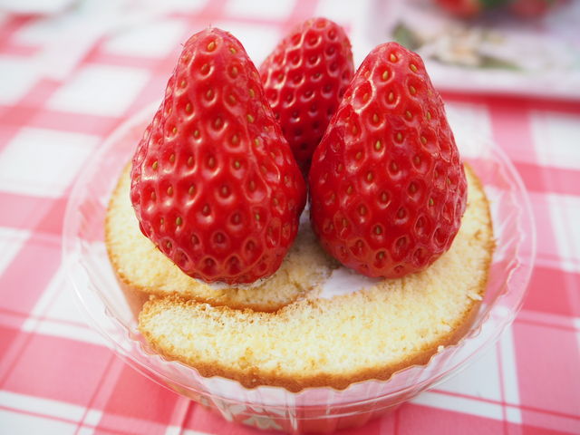 おまけのロールケーキに乗せて♪_Eitoku Farm いちご園 【瑚愛〜ことな〜】