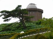 マックさんの大野山キャンプ場の投稿写真6