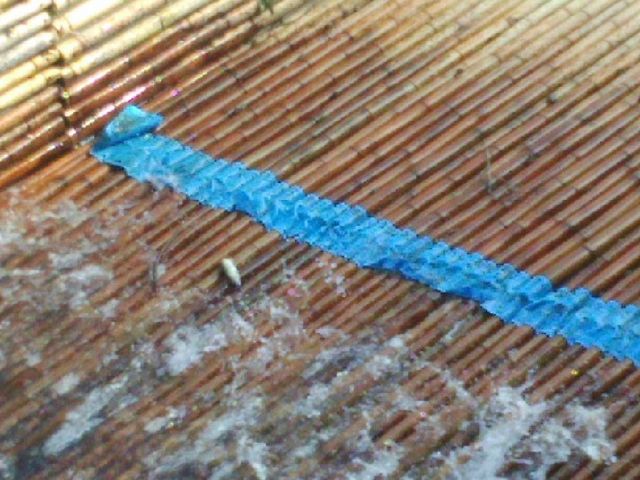 簗に鮎が掛かっています_ローマンやな場