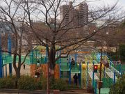 かつしか5525さんの北沼公園の投稿写真2