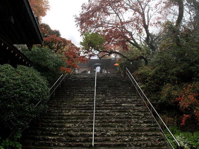 すぐ上が本堂_第82番札所 根香寺