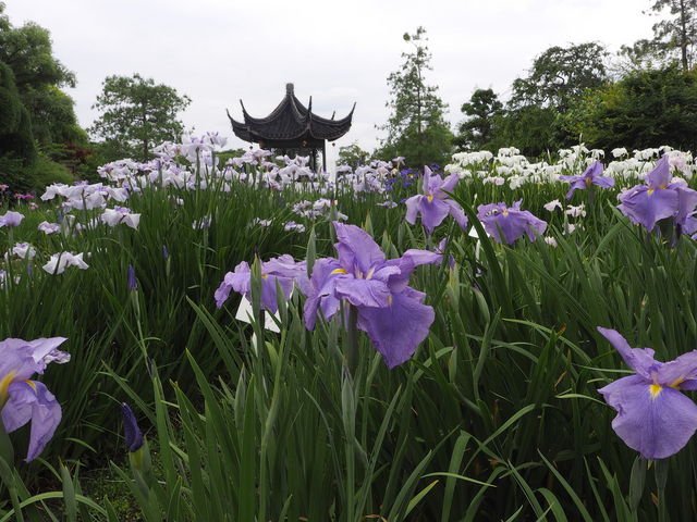 水月公園_水月公園