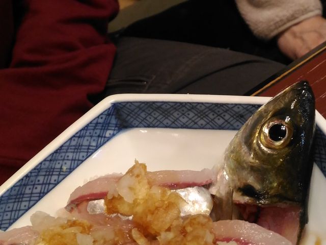 鯵〓〓_寿司幸