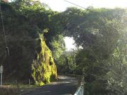 むらさんさんの夷谷(一路一景公園)の投稿写真4