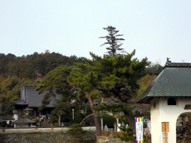 童学寺