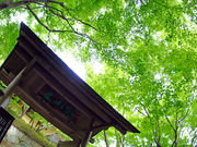 MEISAさんの丈山苑の投稿写真1