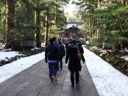 ヒロサンさんの彌彦神社社叢の投稿写真1