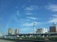 teddyさんの東京都観光汽船への投稿写真2